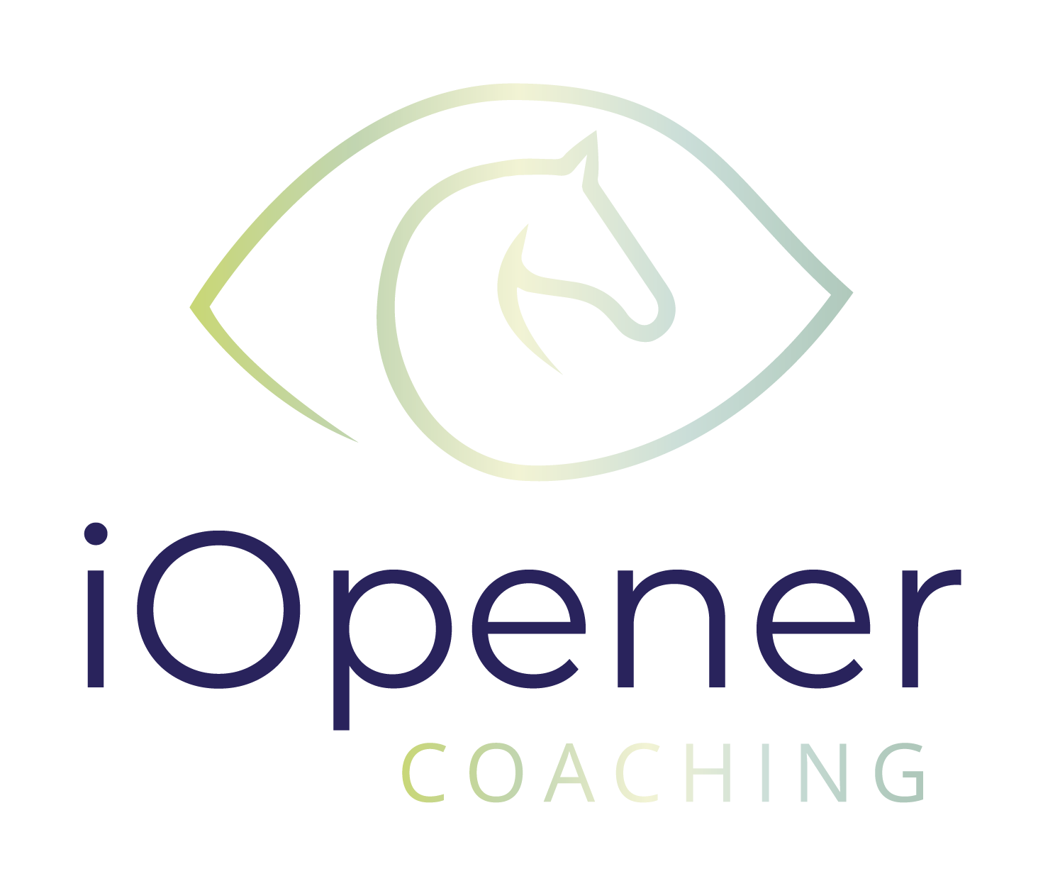 iOpener Coaching